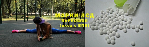 стаф Алзамай