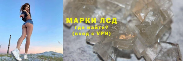 стаф Алзамай