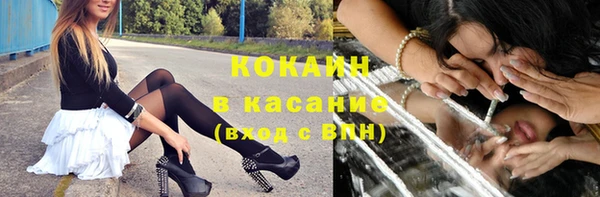 стаф Алзамай