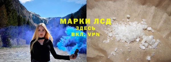 стаф Алзамай