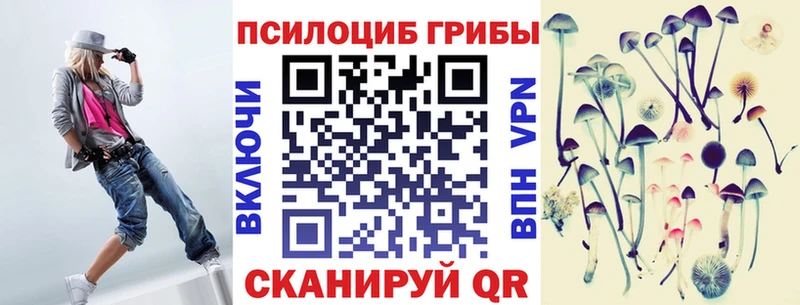 Псилоцибиновые грибы Psilocybe  как найти закладки  Урюпинск 